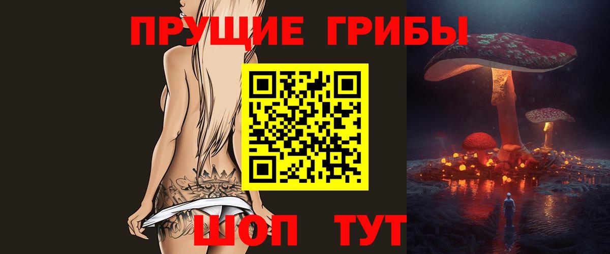 Галлюциногенные грибы Psilocybe Нефтеюганск